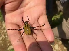 野趣-看见远方·莫干遥远的山民宿