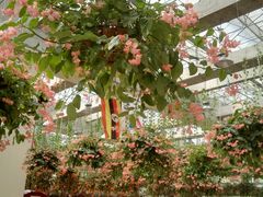 -广州花之恋城堡酒店