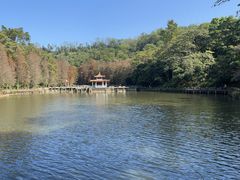 -深圳仙湖植物园