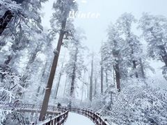 -瓦屋山景区