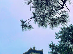 -娄山关景区