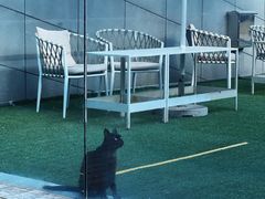 -UNIUNI(凯瑟琳广场店)