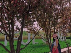 -北京热带雨林风情园酒店-停车场