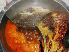 -大龙燚·旷野鲜火锅(广州首店)