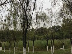 -东郊湿地公园