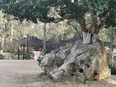 -上海方塔园