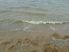 -瑶湖郊野森林公园