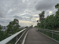 -板樟山森林公园