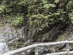 -石台牯牛降景区