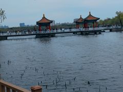 -长春市南湖公园