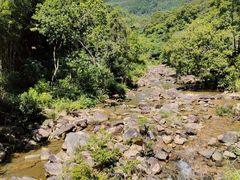 -广州白江湖森林公园