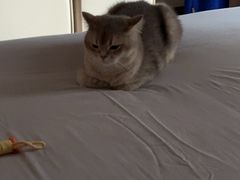 -二当家牛肉串串(教育路店)