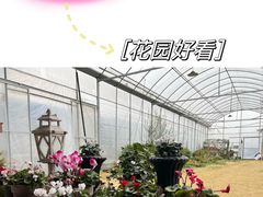 -宏泰园蔬果专业合作社