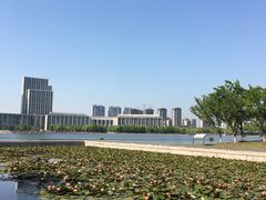 -尚贤河湿地