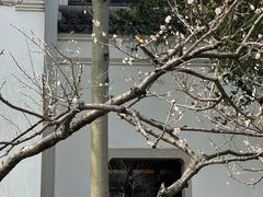 -杭州西子湖四季酒店-WL BISTRO西湖餐厅(灵隐路店)