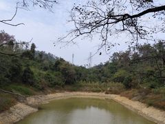 -青龙山国家森林公园