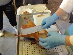 -海湾壹品·粤菜·早茶·烤鸭(拱北店)