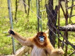 -哈尔滨北方森林动物园