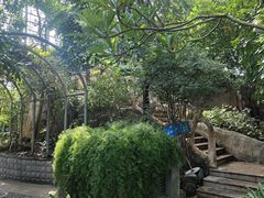 -南山植物园