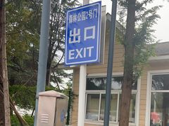 -日照海滨国家森林公园