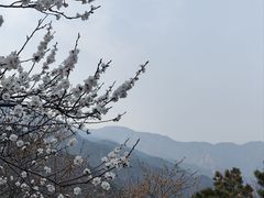 -鹫峰国家森林公园