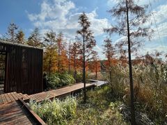 -昆山城市生态森林公园