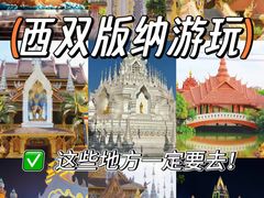 -西双版纳原始森林公园