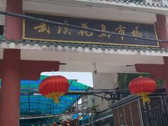 -武汉花鸟市场
