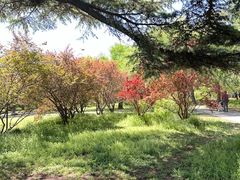 -国家植物园南园