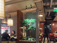 -蓉城四海·澳牛炙烤自助(江阴周庄店)