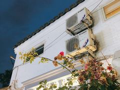 -Sirena海妖日咖夜酒