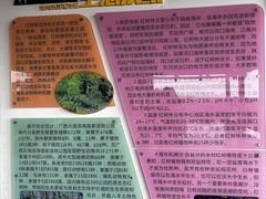 -北海金海湾红树林生态旅游区