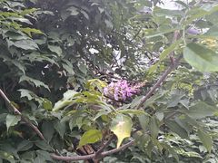 -李东农庄(中南百草园地标店)