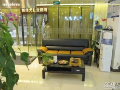 IMG_2873-DRG达人馆造型