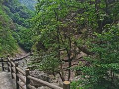 -罗田天堂寨风景区