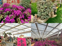 -沂蒙云瀑洞天景区