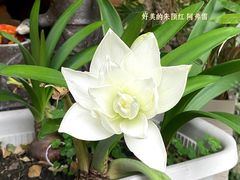 -谷咖啡·鲜花绿植花园餐厅