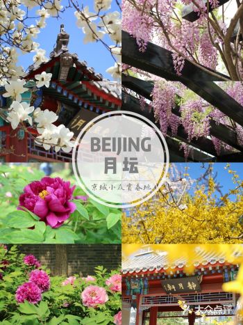 月坛公园 | 京城小众赏花地花期攻略