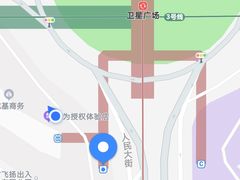 -City1+1城市比萨(国商卫星广场店)