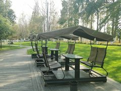 -合肥滨湖国家森林公园