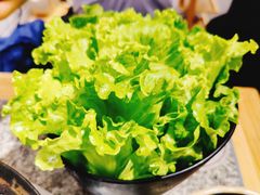 生菜-酒拾烤肉(南城店)