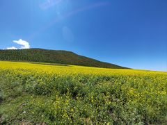 -扁都口生态休闲旅游区