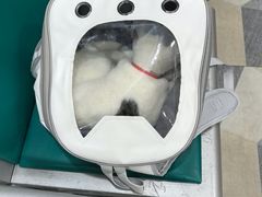 -总动员动物医院(宝丰院店)