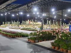 -东芭乐园