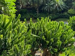 -碧桂园十里银滩