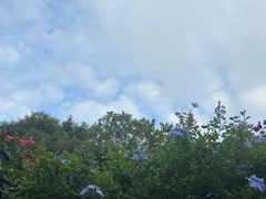 -一棵树·意大利西餐厅One Tree(新城店)