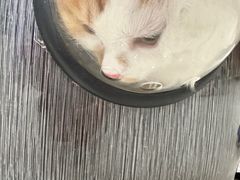 -美联众合24小时·皮肤科·外科·全科诊疗中心(华苑分院)