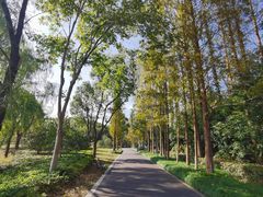 -昆山城市生态森林公园