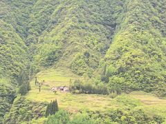-鹿院坪生态旅游景区