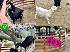 -盈香心动乐园